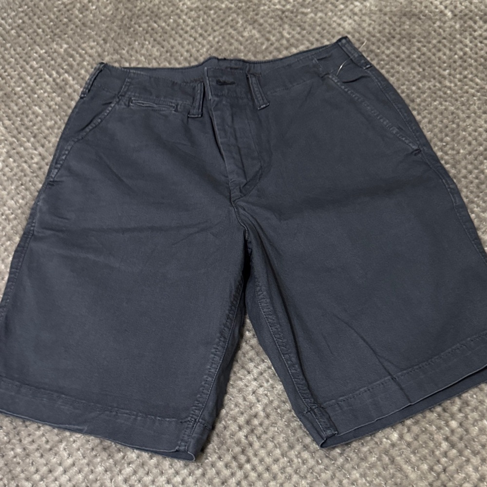 American Eagle Outfitters Men's Dark Navy Flat Front Shorts
